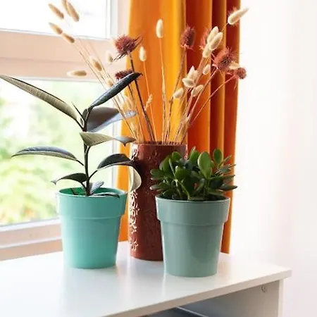 Precioso Apartamento En El Centro * Santander
